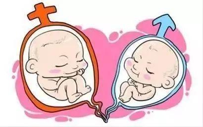 一般不妊検査・タイミング療法